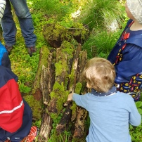 Searching under logs for mini beasts